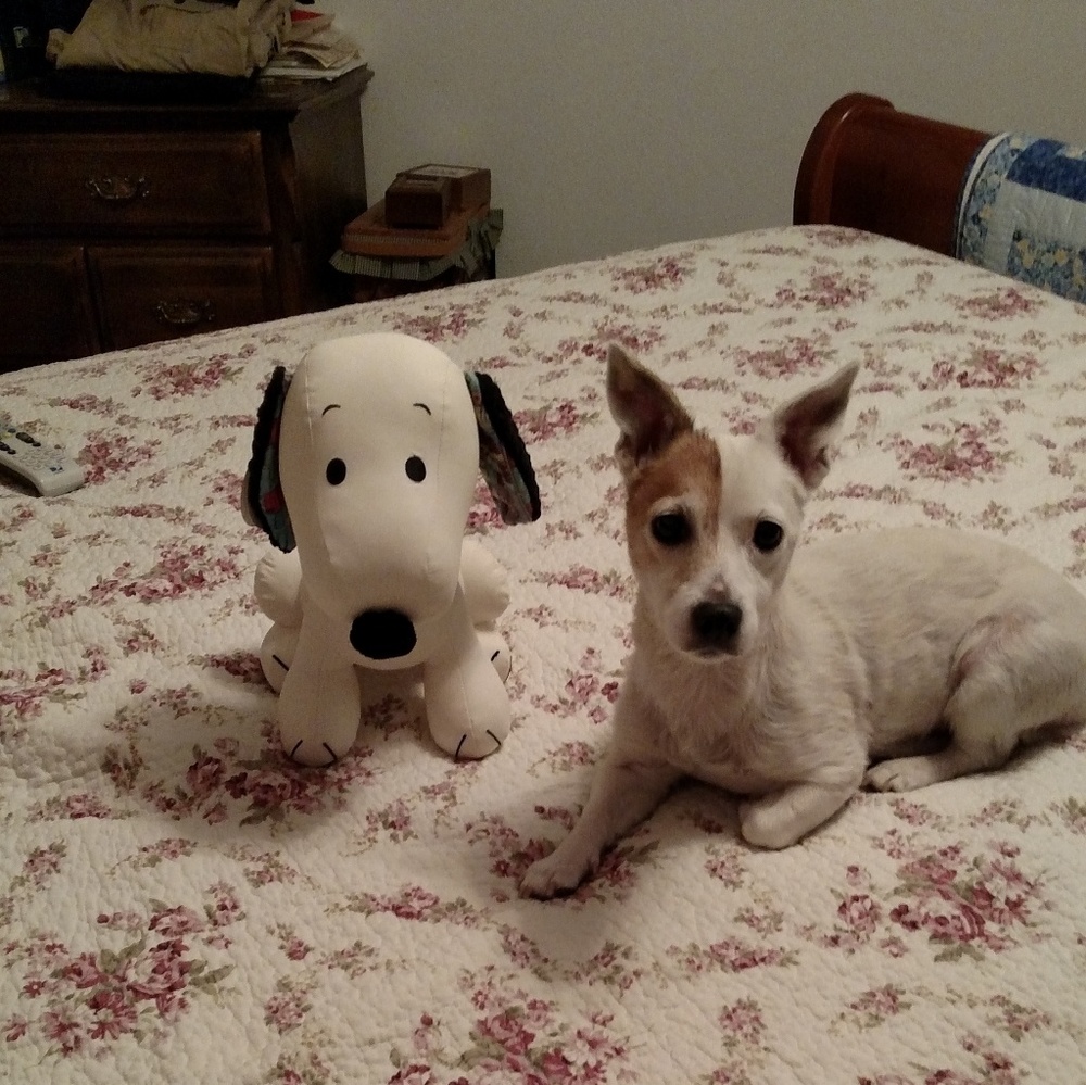 Meet your Posher, Shelly